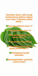 Manfaat daun sirih untuk miss v. Idaman Jelita Sabun Cuci Miss V Idaman Jelita Facebook