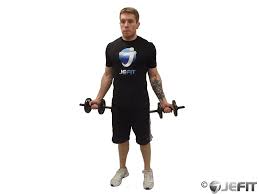 dumbbell bicep curl exercise database