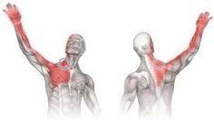 Pin On Health