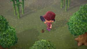There is no confirmed way to influence the flora and fauna on any island you visit via nook miles tickets. How To Get Bamboo Shoots Fast Acnh Animal Crossing New Horizons Switch Game8