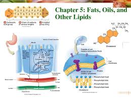 Maybe you would like to learn more about one of these? Ppt Chapter 5 Fats Oils And Other Lipids Powerpoint Presentation Free Download Id 4755207