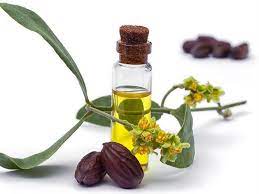 Jojoba Yaginin Genelde Saclara Iyi Geldigini Duyuyoruz Ancak Bu Yag Sadece Saclarla Sinirlandirilamayacak Kadar Faydali Jojoba Yaginin Fa Kolajen Kirpik Yag