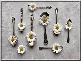 Aliments Et Boissons الأطعمة والأشربة La Science Legiferee العلم الشرعي