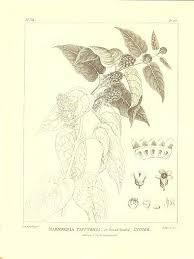 Dm am f am kasawang deui. Bean Coolen Coffee You Hide My Coffee But Today I Ll Tell The World