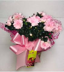 Expert recommended top 3 florists in visalia, california. Hanford Ca Florist Free Flower Delivery In Hanford Ca Gonsalves Fasso Flowers