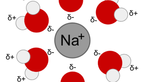 We did not find results for: 5 Soal Essay Pewarisan Sifat Dan Pembahasan Kelas 9 Materi Kimia