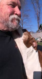 Fundraiser for Jessica Hamilton by Kayla Boughey : Help the Hamilton's  Through This Tragic Time