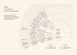 Programul este simplu și ușor de învățat. CÄƒlÄƒuza Familiei Arborele Genealogic Un Cadou Ideal Pentru Cei Dragi Valentina Butnaru Petru È™arcov 978 9975 9814 9 1 Bestseller Md