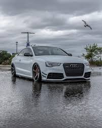 Image result for Suzukagrau 2014 Audi