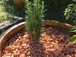 Check spelling or type a new query. Ms Industries Offers Expanded Clay Products Learn More About Our Products Today