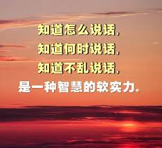 沉默的适当也是一种智慧 movie posters movies poster