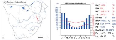 Image result for Neoboutonia melleri