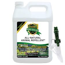 The best cat repellants should deter your felines from marking around the house or getting caught in unsafe areas. Natural Armor Peppermint Scent Gallon Ready To Use All Natural Animal Repellent Spray 128 Oz Gallon Walmart Com Walmart Com