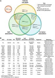 Venn diagram to compare plant cell and animal cell. Comparison Of Known Cc Domain Functions A Venn Diagram Of The Three Download Scientific Diagram