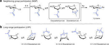 Sign up to our newsletter and the ion crew! Characterization Of Glycosyl Dioxolenium Ions And Their Role In Glycosylation Reactions Nature Communications