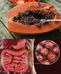 🍃🧠 ¿Semillas de papaya para regenerar tu hígado? ¡Sí! Aunque muchos las  tiran, estas pequeñas semillas contienen compuestos que podrían proteger y  regenerar tu hígado 🍈✨ #SaludNatural #semillasdepapaya #HígadoSaludable  #remediosnaturales
