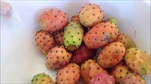 Quando i fichi stanno maturando risultano molto attrattivi per uccelli come merli e storni, che li mangiano a beccate. Come Sbucciare I Fichi D India Youtube