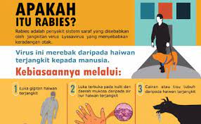 Bila orang terinfeksi bersin dan terdapat lender yang masuk secara langsung pada mata,hidung dan mulut dari orang lain. Kelantan Perlu Berjaga Jaga Wabak Anjing Gila