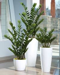 Zeezee Plant Low Light Plant Decor Silk Plants Indoor Plants