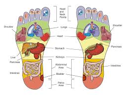 reflexology purity health with gemma nelson