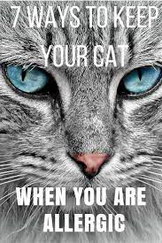It Was Heartbreaking When My Daughter Turned Out To Be Allergic To Her Favorite Cat Luckily We Were Able To F Cat Allergies Cat Allergies Relief Pet Allergies
