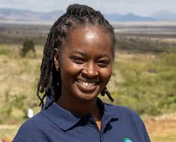 Welcome to the Jungle