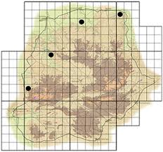 Image result for Distephanus divaricatus