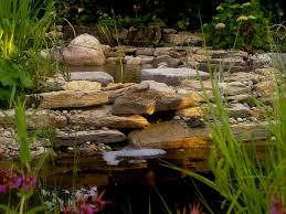 Gartenteich Auf Zwei Ebenen Gartenteich Natursteine Quellstein Teich Teichpflanze Gartenteich Wasser Im Garten Teichpflanzen