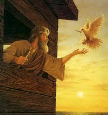 Genesis 8 8 9 Noach Lost De Tweede Vogel De Duif Hd Bible Pictures Biblical Art Bible Art