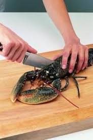 Decouper Un Homard Vivant Homard Recettes De Cuisine Comment Faire Des Pates