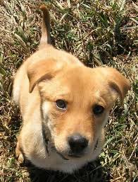 Large • baby • male. Pin On Animal Kingdom