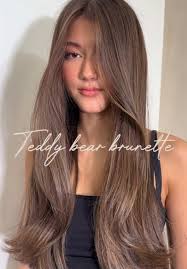 Teddy Bear Brown Hair Olive Soin