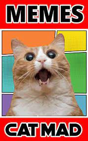 More posts from the memes community. Memes Book Cat Mad Meme Collection And Hilarious Book Of Funny Memes Clean Memes Meet Grumpy Cat Memes That Will Make You Lol By C J Clark