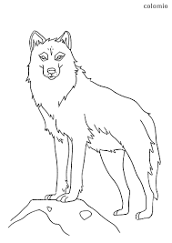 By best coloring pages august 10th 2013. Wolves Coloring Pages Free Printable Wolf Coloring Sheets