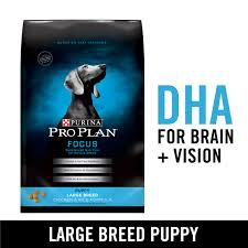 Purina Pro Plan Large Breed Dry Puppy Food Focus Chicken Rice Formula 18 Lb Bag Walmart Com