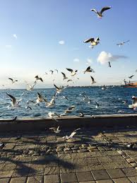 Kordon Izmir Da Fotograflar Seyahat Tutkusu Seyahat Alintilari Seyahat Rehberi