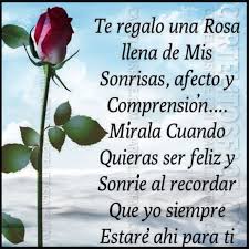Pin By Ayolany Perez On Mio Spanish Quotes Plants Quotes