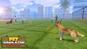 Pin By Adessa Condrack On Guide Dog Game Dog Games Dogs Dog Runs