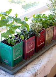 Herb Garden In Tea Tins Herb Garden In Kitchen Apartment Herb Gardens Window Herb Garden