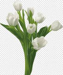 Learn vocabulary, terms and more with flashcards, games and other study tools. Condolences Mourning Grief Death Sentence Word Flower Arranging White Png Pngegg