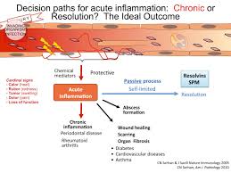 Nutrients And Gene Expression In Inflammation Sciencedirect