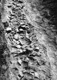 Current Research in New York Archaeology: A.D. 700–1300