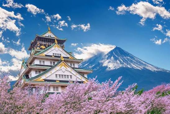 Itinerary 3 Hari Keliling Tempat Wisata di Osaka Saat Musim Semi