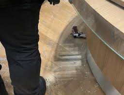 Homem invade shopping e mata mulher em São Bernardo do Campo
