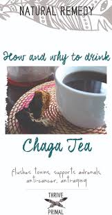 How to make chaga tea with ground chaga. How To Make Chaga Tea Taste Better Arxiusarquitectura