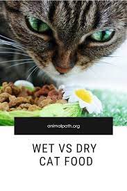 Wet Vs Dry Cat Food Dry Cat Food Cat Food Cat Nutrition