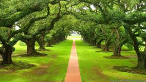 Beauties Nature Wallpapers Wallpaper Cave I am sorry to say that mark has passed away, due to complications. beauties nature wallpapers wallpaper cave