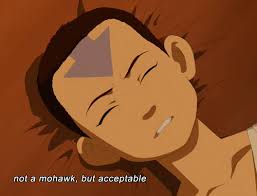 This is an album about avatar world Avatar The Last Airbender Newbie Recap The Awakening The Mary Sue