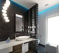 fancy privacy options for the bathroom