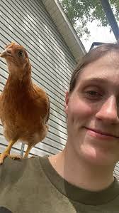 How to keep chickens happy, healthy and live long lives?